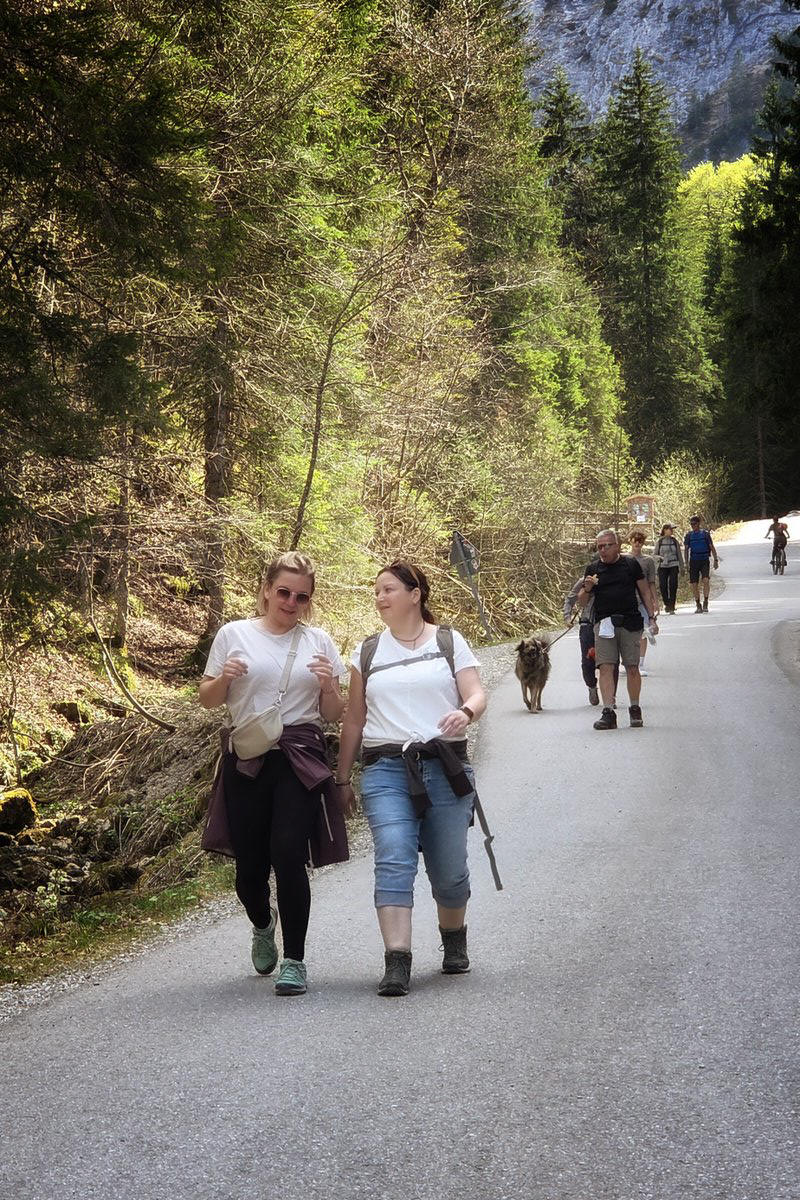 Wanderung Rohrkopfh�tte in Schwangau mit Sandra Bischof und Mathias Starzer - R�ckweg durch den Bergwald